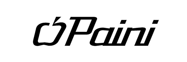 Paini Logo